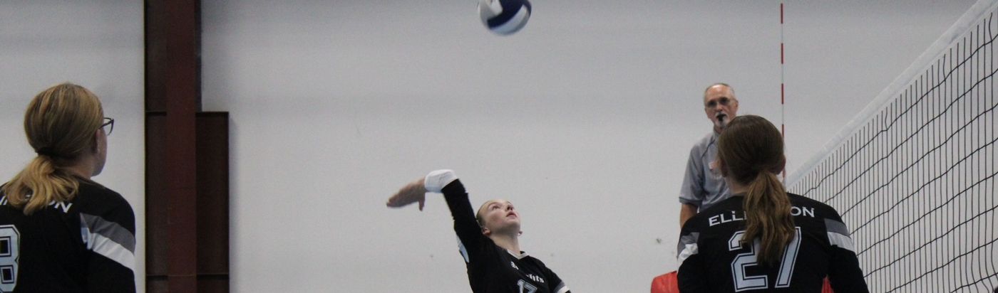 Volleyball
